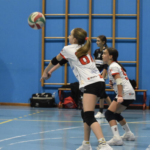 vicenza U14